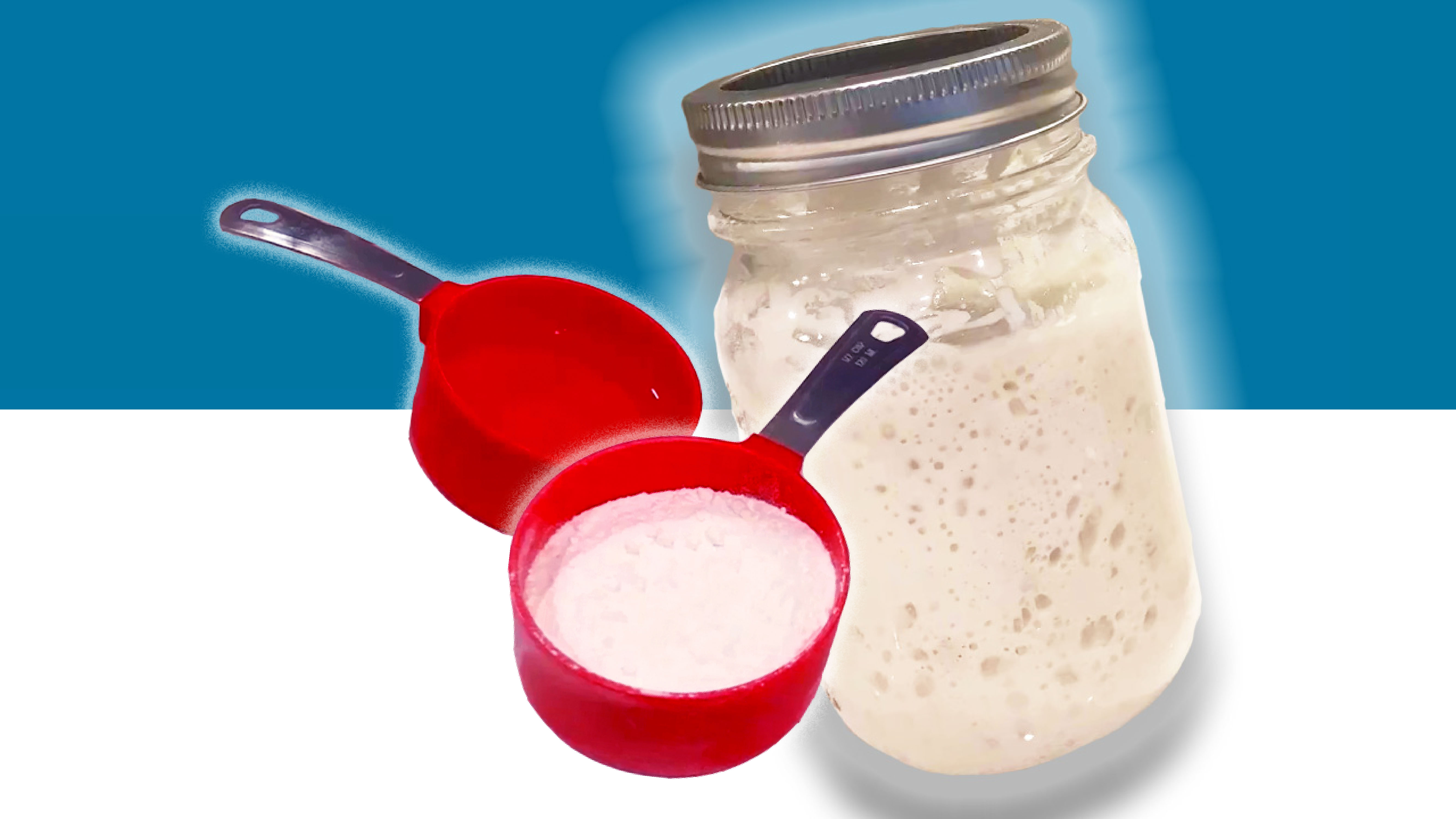 how-to-feed a sourdough starter